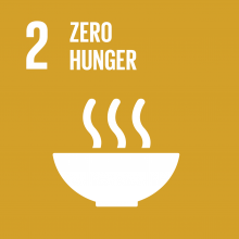 Development Goal - Zero Hunger