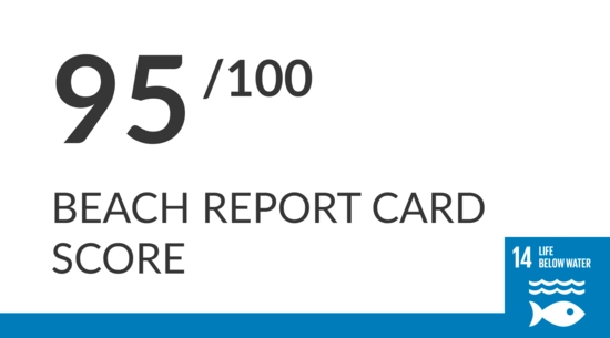 Image reads "95/100 beach report card score"