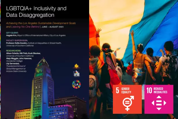 LGBTQIA Inclusivity And Data Disaggregation Cover